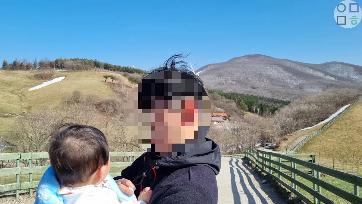 봄에-보는-양떼목장-얼음-바람도-많이-부는