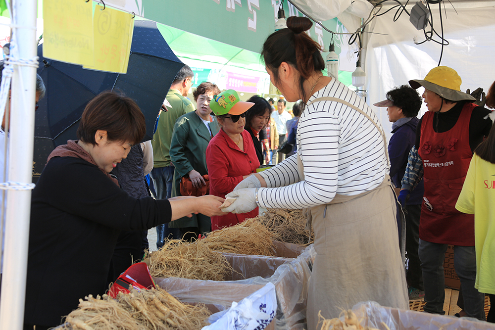 2024 풍기 인삼축제 초대가수
