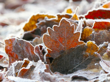 월드뮤직과 문화 인류학의 관계: 음악으로 읽는 사회와 인간