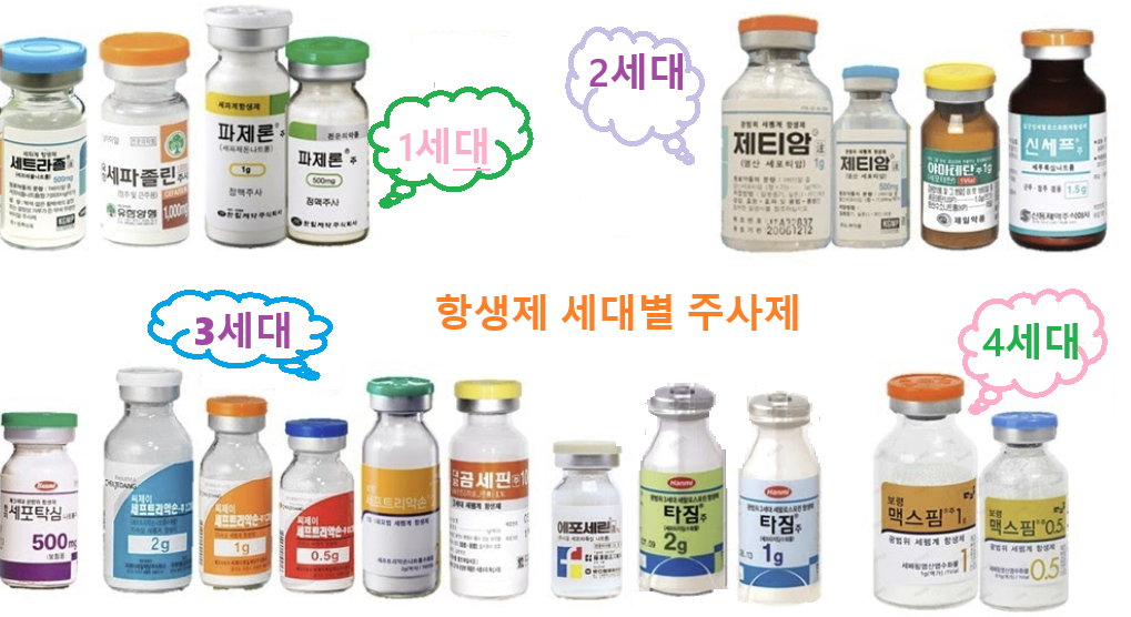 항생제 세대별 주사제