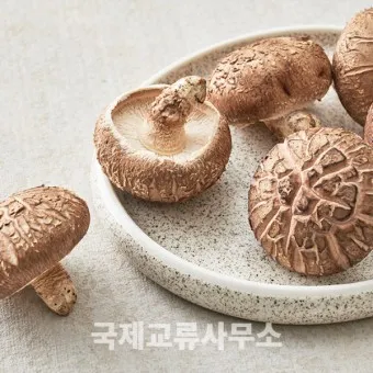 표고버섯 효능_1