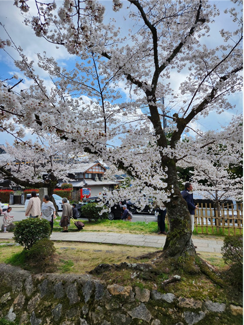 철학의 길 위에서