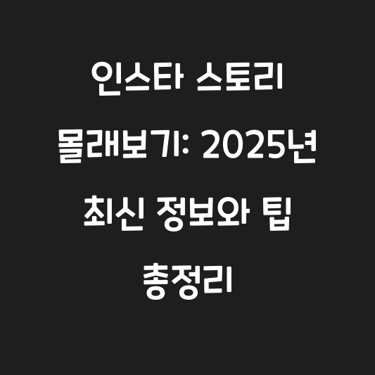 인스타 스토리 몰래보기: 2025년 최신 정보와 팁 총정리 대표 이미지
