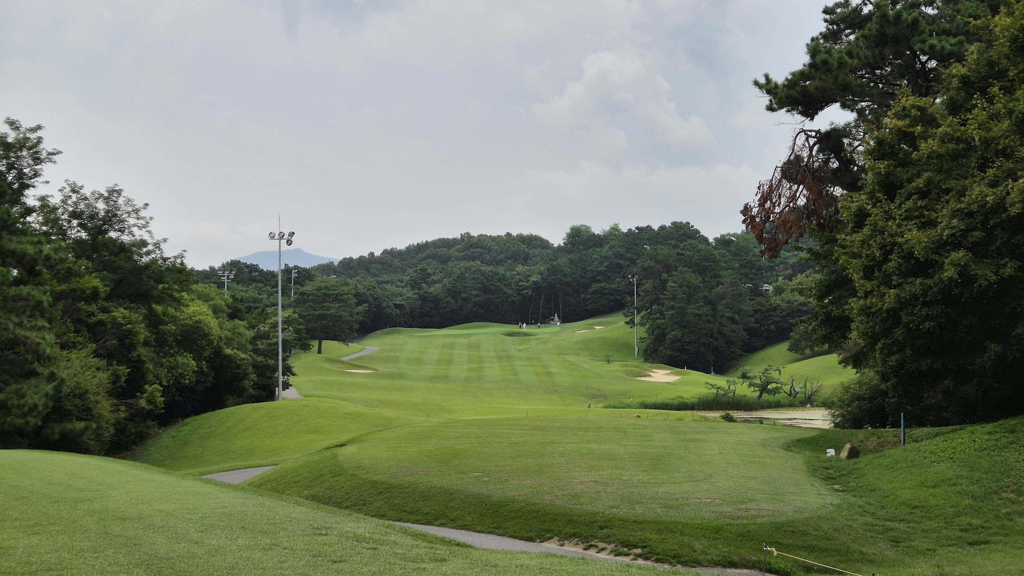 한림용인cc 다이아몬드-사파이어 코스 사진 및 공략 정보
