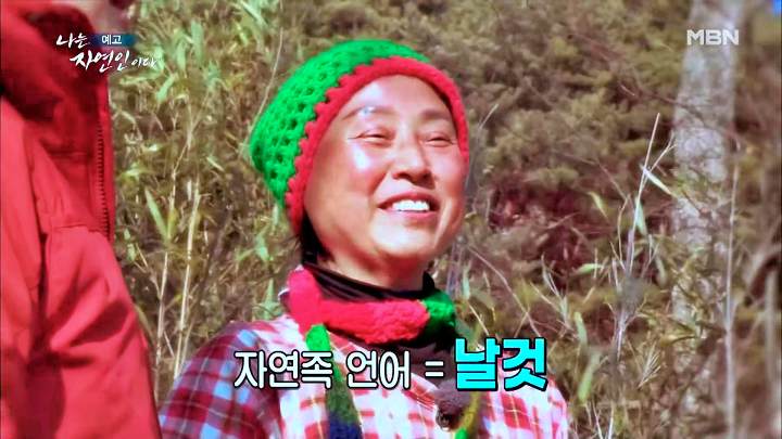 나는 자연인이다 티베트 스타일 옥순봉 고추장 피자 해처럼 바람처럼 자연인 이가영 소개 및 이승윤 출연 542회 다시보기