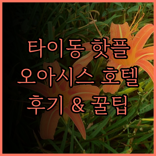 오아시스 호텔.. 츠상에서의 완벽한 