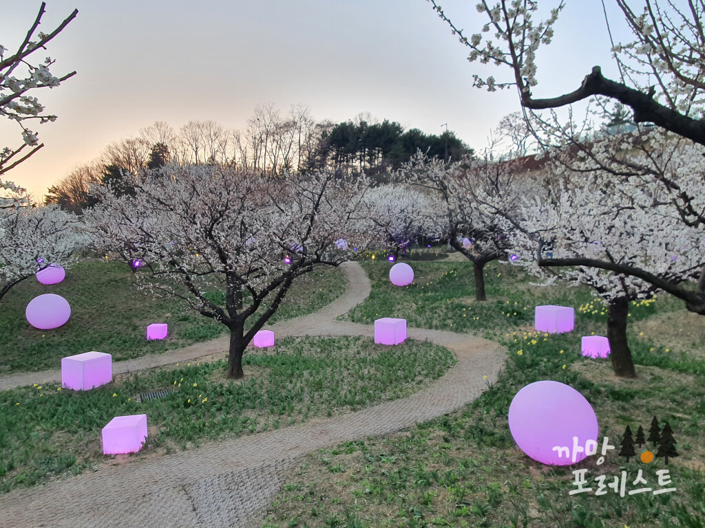 에버랜드 하늘정원길 야경