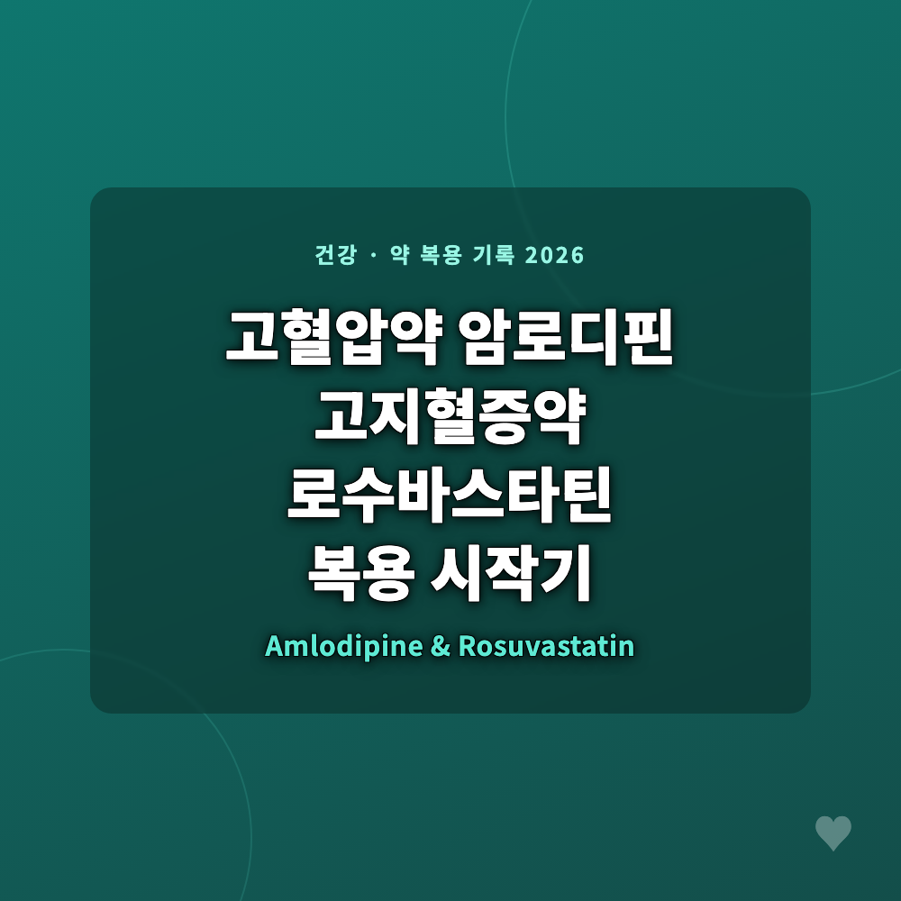 고혈압약 암로디핀과 고지혈증약 로수바스타틴 복용을 시작한 경험을 담은 블로그 대표 이미지