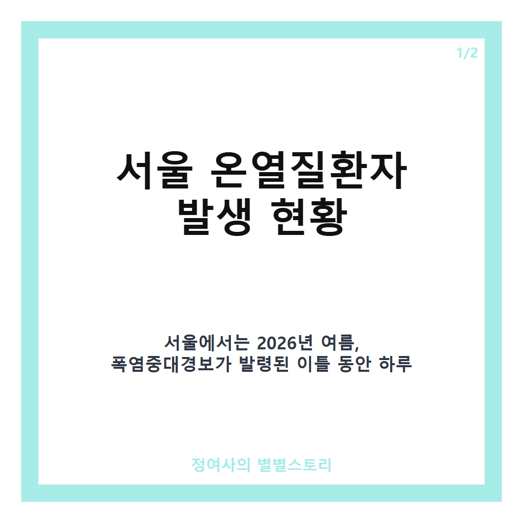 서울 온열질환자 최다 기록, 폭염 속 건강 관리 주의 필요 카드뉴스 1