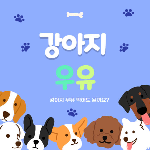 강아지_우유_썸네일
