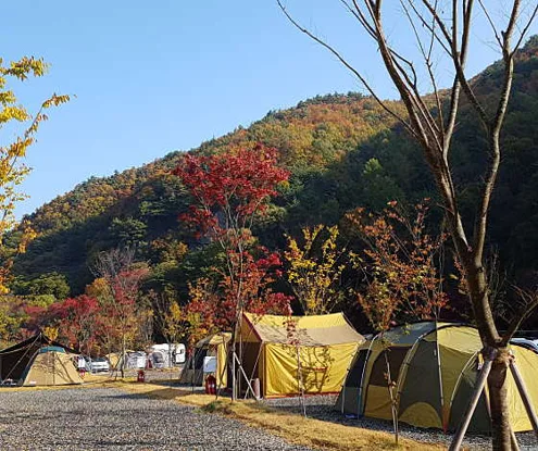 깊은골캠핑장