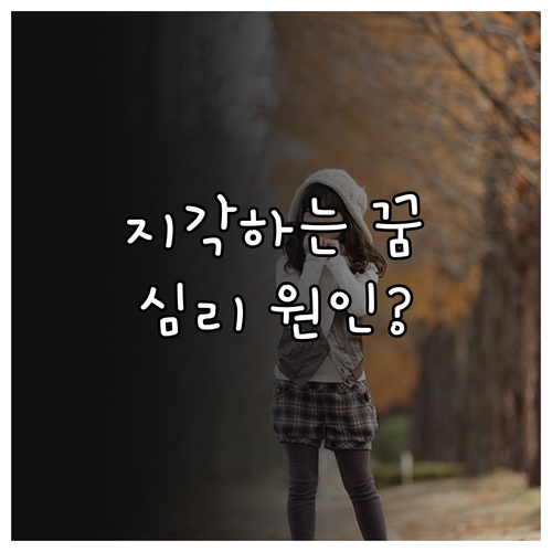 지각하는 꿈 심리적 원인과 해석..