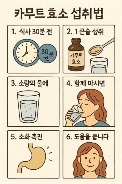 카무트 효소 섭취 방법