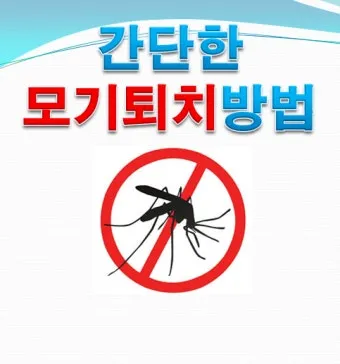 모기 퇴치 모기장 설치와 전자 모기향 환기 수칙_11