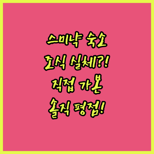 직접 다녀온 발리 스미냑 숙소 평점과..
