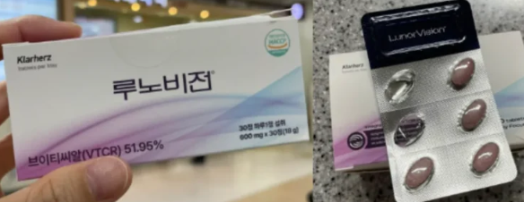 루노비전-사진1