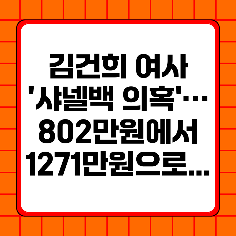 김건희-여사-샤넬백-의혹-802만원에서-1271만원으로-검찰-수사-진행-상황은