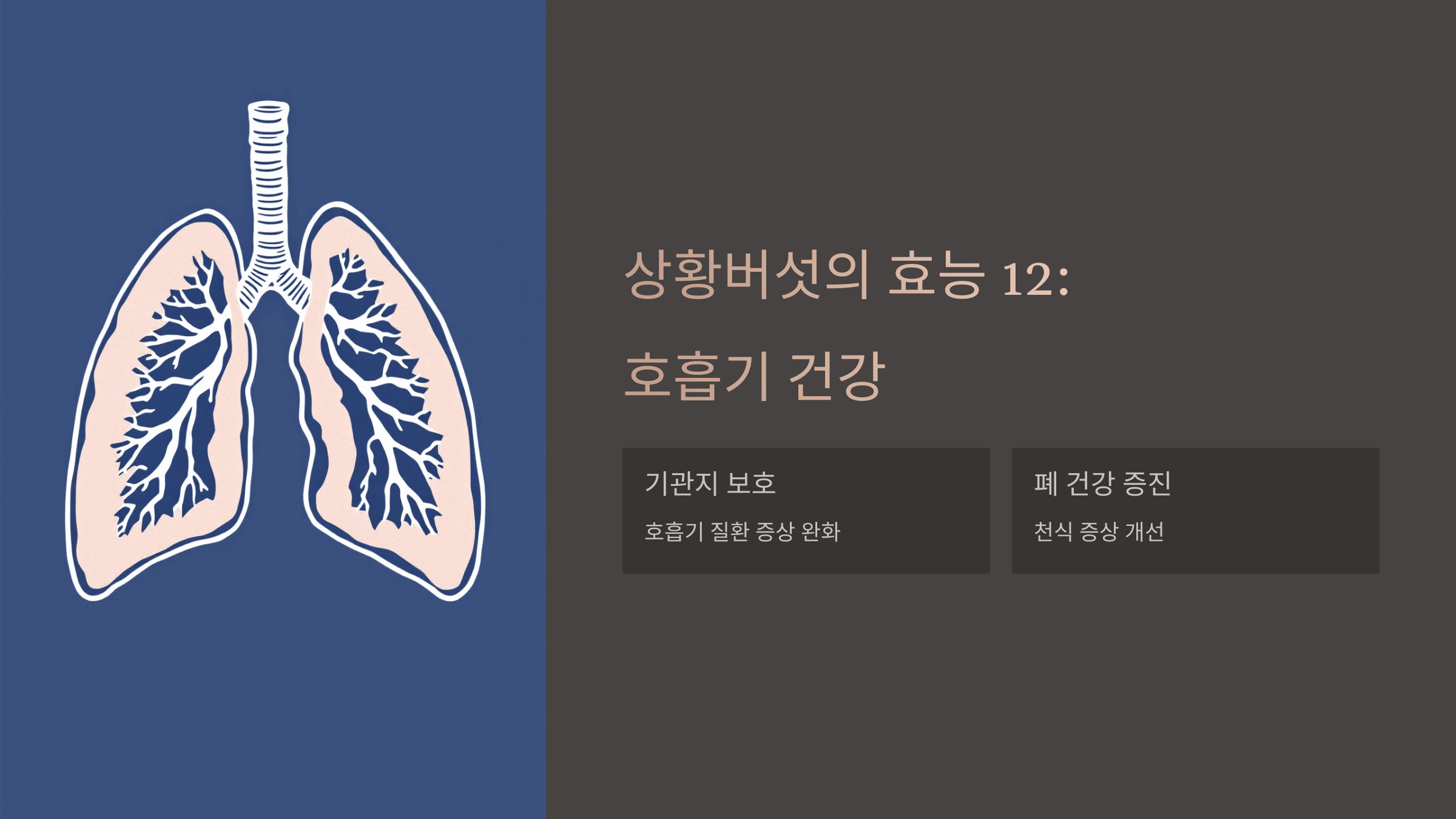 상황버섯과 관련된 사진입니다.