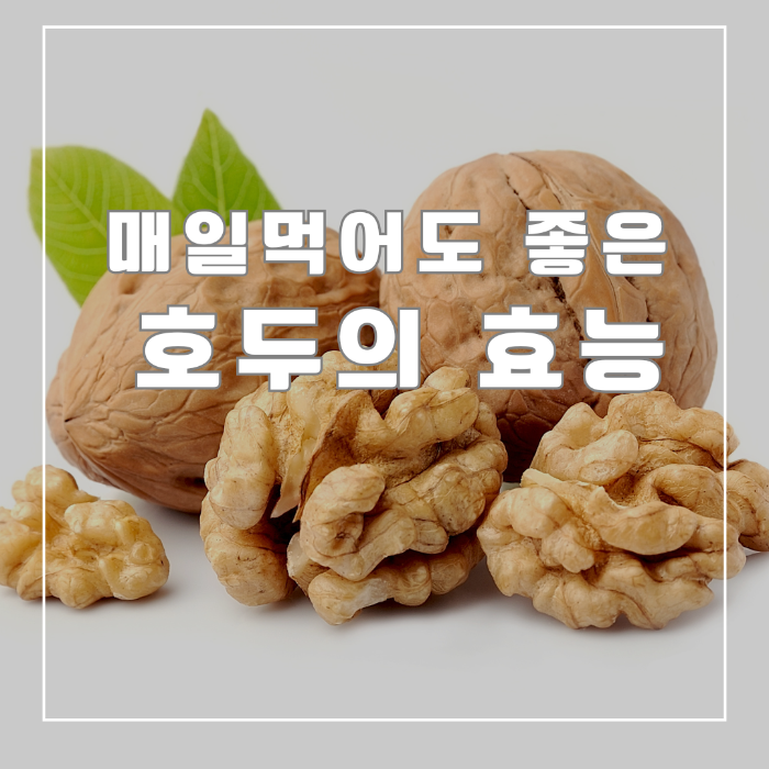 매일먹어도 좋은 호두의 효능
