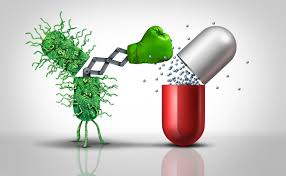 항생제의 부작용과 주의사항