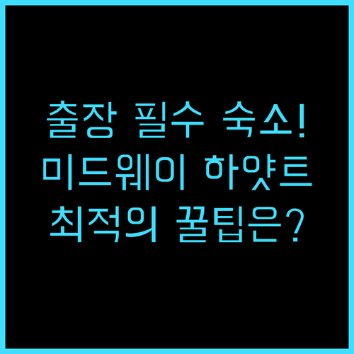 하얏트 플레이스 시카고 미드웨이 에어..