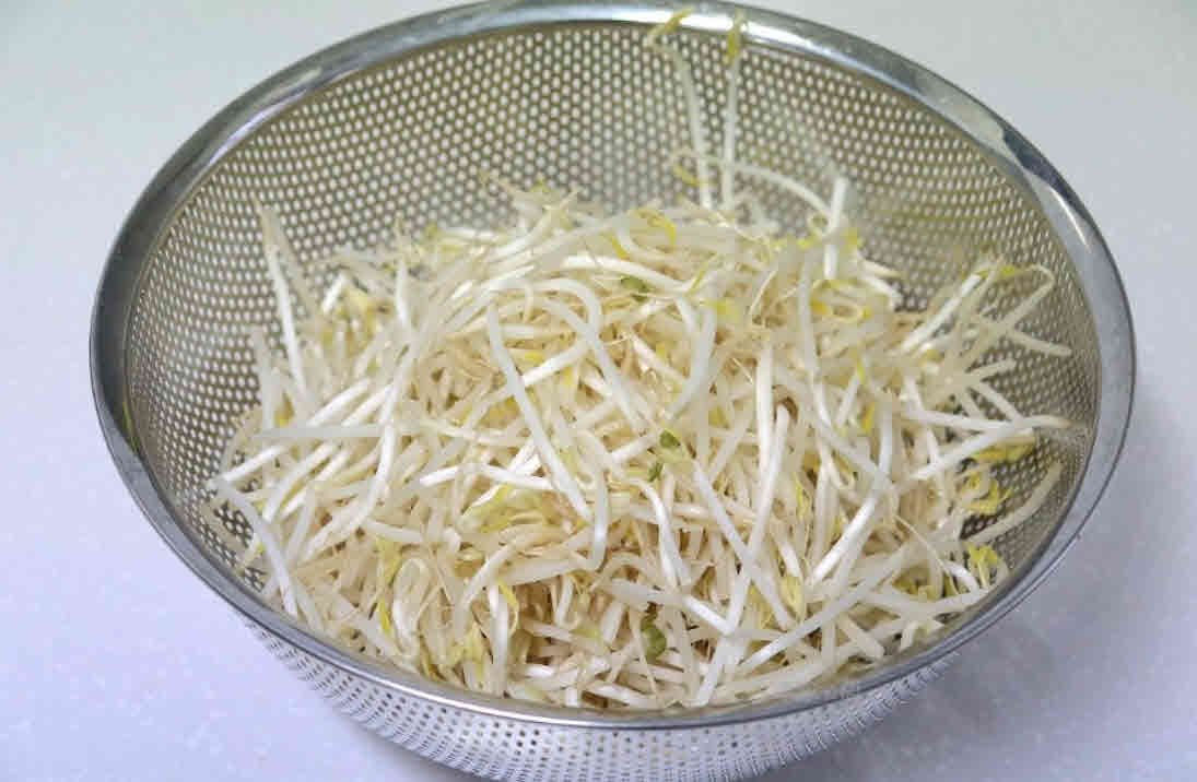 녹두의싹을틔운숙주