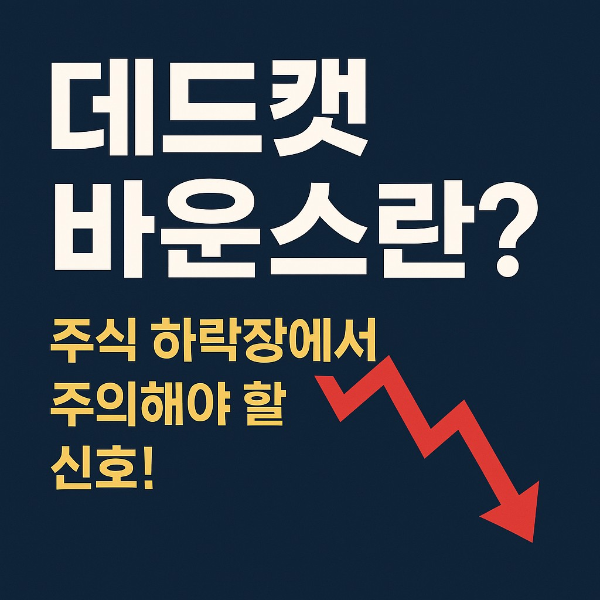 데드캣 바운스