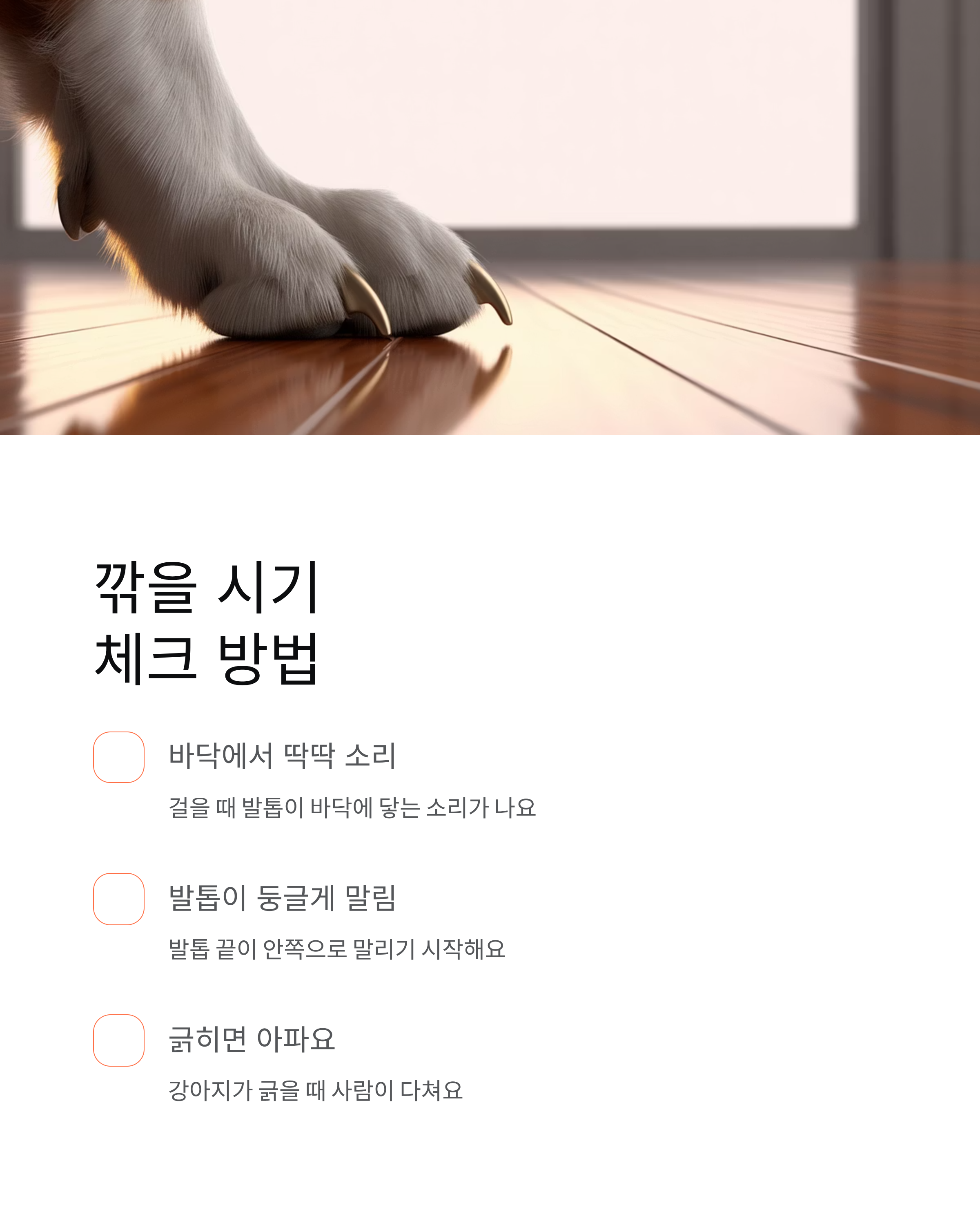 강아지 발톱깎기 ❘ 방법 주기 혈관 지혈 집에서 안전하게 자르는법 총정리