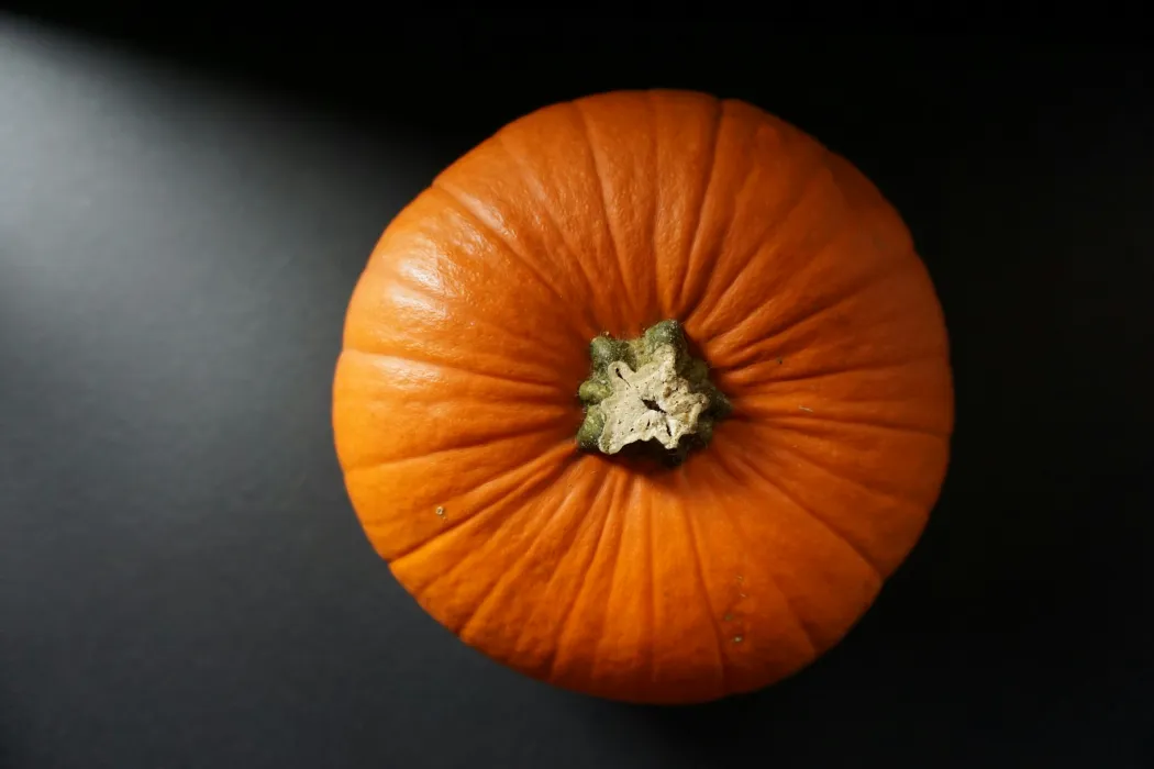 주황색-늙은-호박