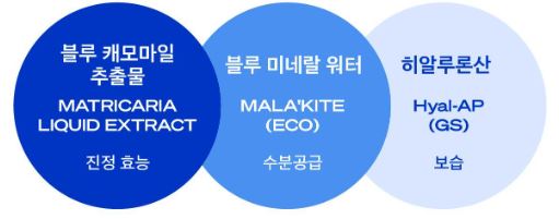 비레디 블루 수분 선크림