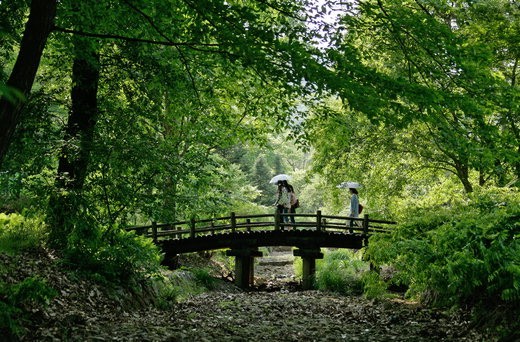 국립수목원 예약