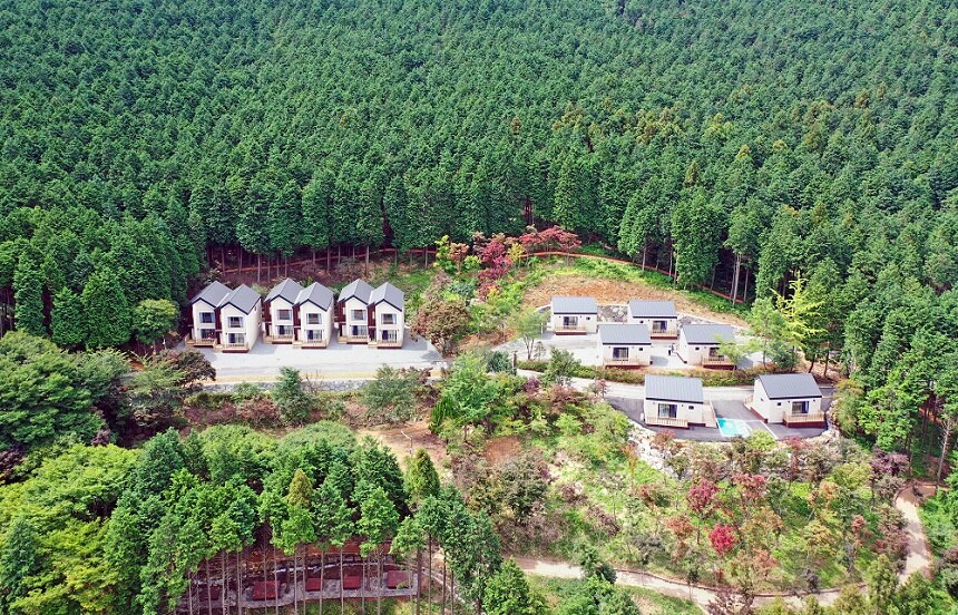 사천 케이블카 수목원 관람 가이드｜케이블카 연계&middot;산책 동선&middot;계절 포인트&middot;이용정보 총정리