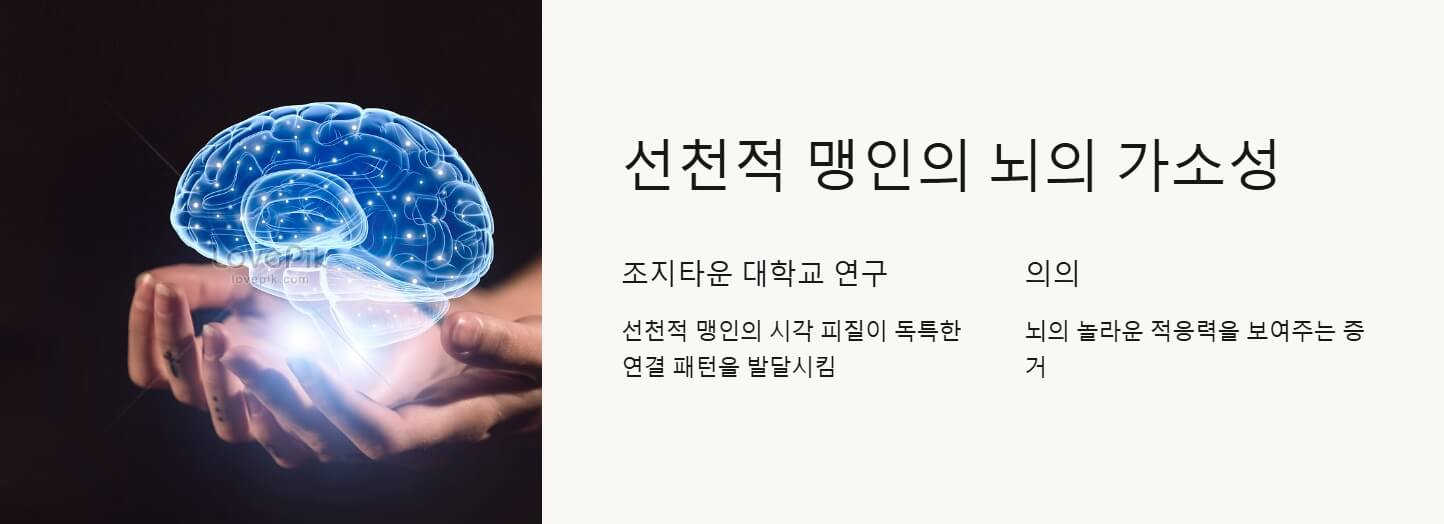 뇌의 가소성