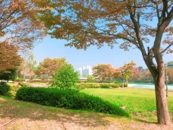 김해 가볼만한곳 추천 카페 맛집 반려견 최신_10
