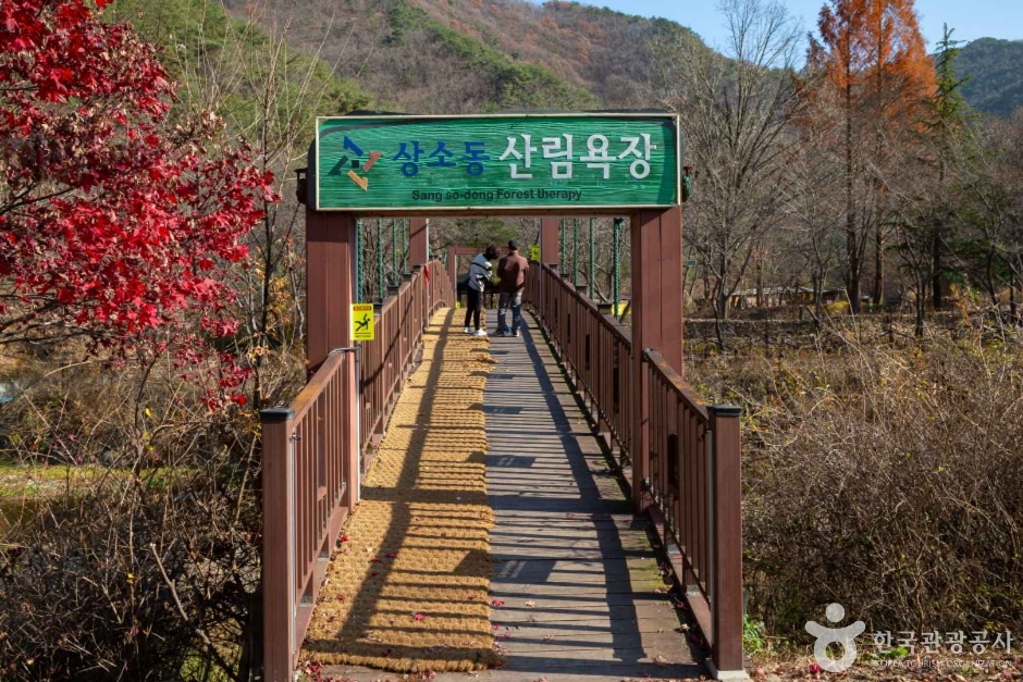 대전근교 주말나들이 상소동 산림욕장