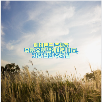 에버랜드 주차장 무료&middot;유료&middot;발레파킹 비교, 가장 편한 주차 팁