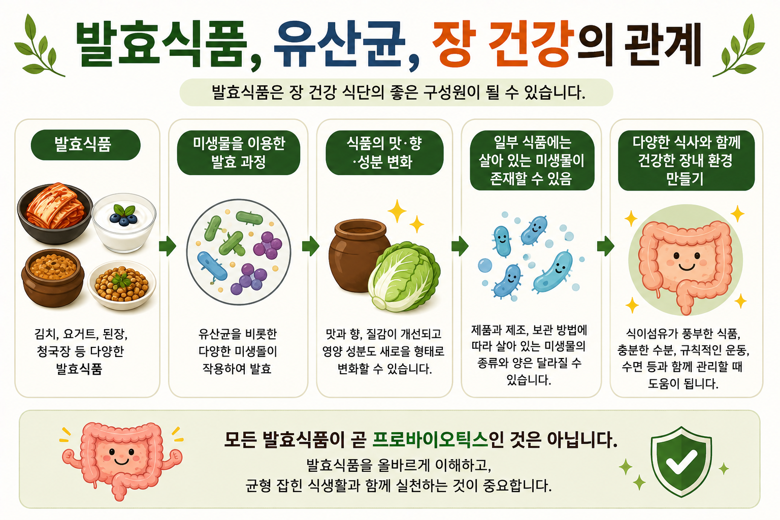 발효식품과 유산균의 관계를 설명하는 그림