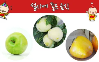 설사에 좋은 음식 총정리 소화기 건강 식단_5