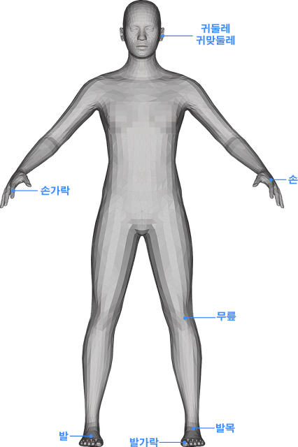 통증이 생기는 인체 부위