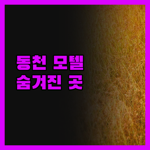 대구 동천 '모텔', 숨겨진 보석 같