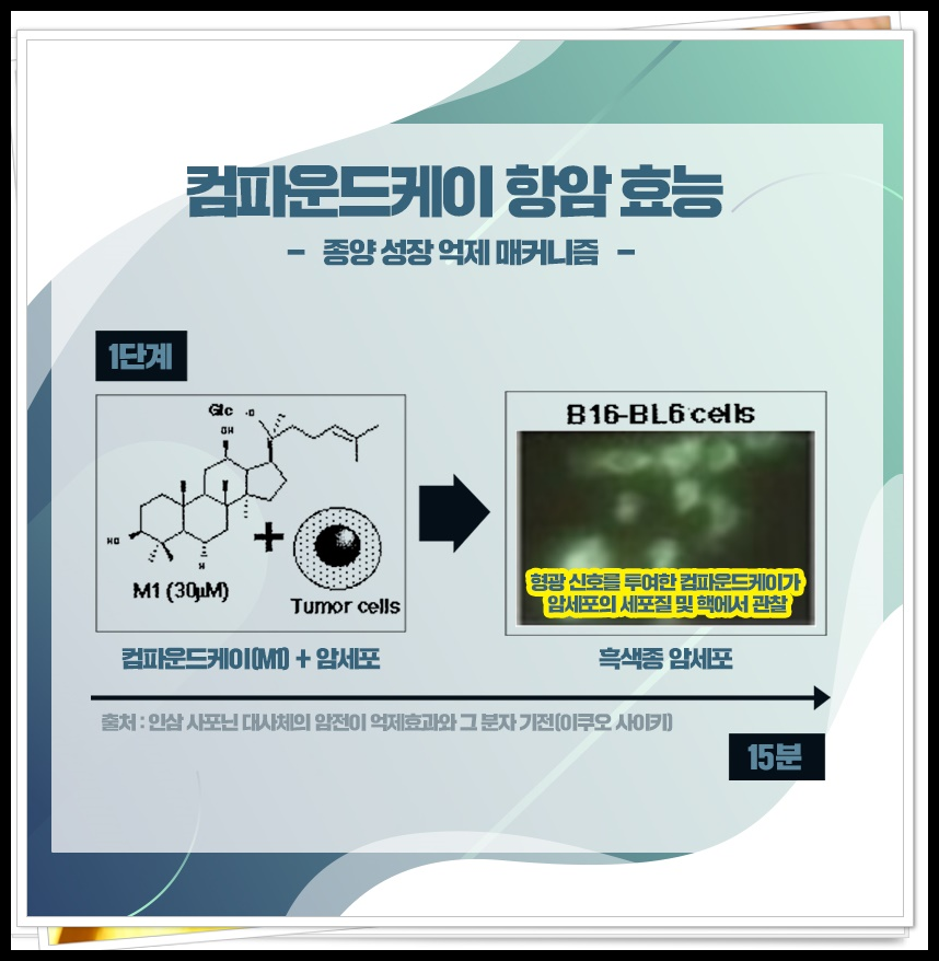 자궁경부암 반응성 세포변화