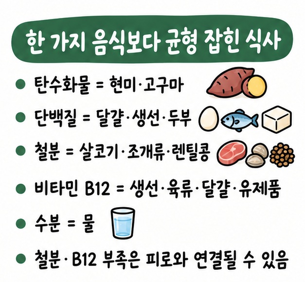 탄수화물과 단백질, 철분, 비타민 B12, 수분을 대표 음식과 함께 정리한 카드