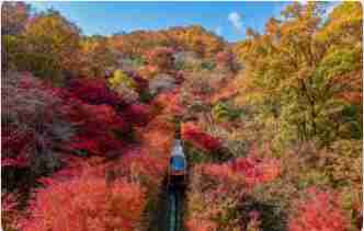 화담숲 모노레일 예약 3분 완벽 가이드