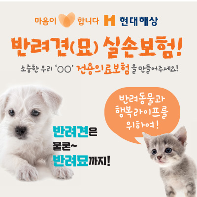 현대해상-펫보험-증상검색형