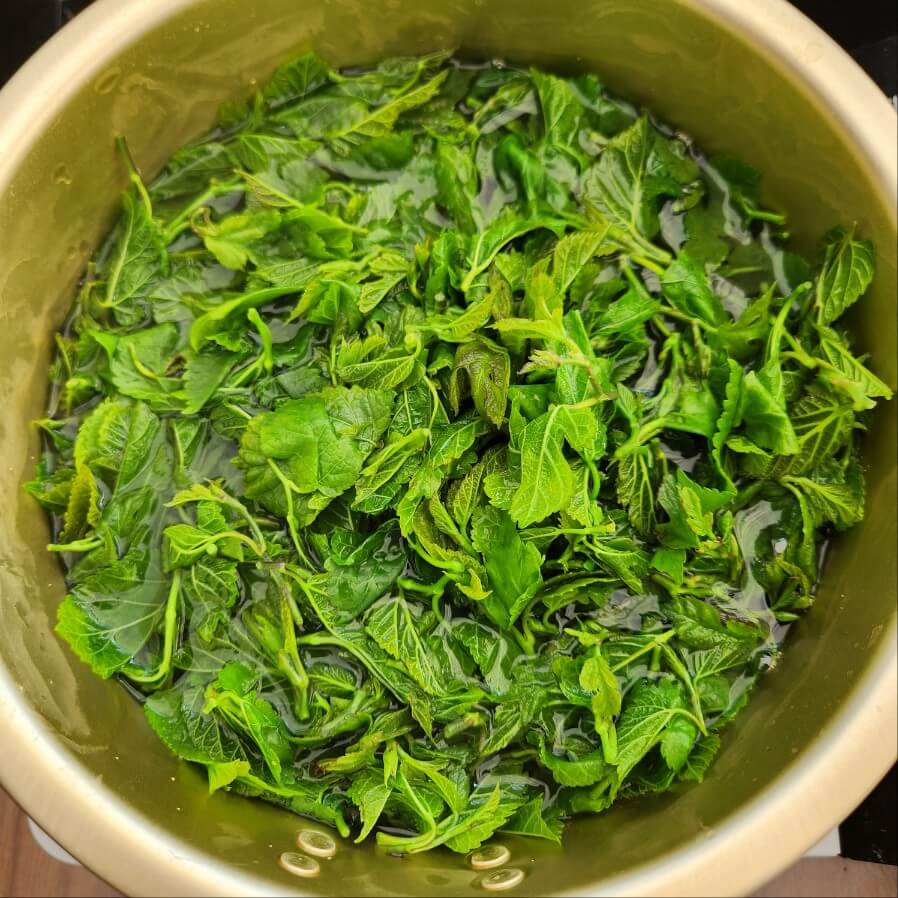 숙주나물무침 방풍나물 무침 세발나물무침 비름나물 무침 가죽나물무침 머위나물무침 톳나물무침 오가피나물무침 유채나물무침 두릅나물무침 가지나물무침 미나리나물무침 시금치나물무침 봄나물무침 방풀나물무침 엄나무순나물무침 고추장나물무침 참나물무침 나물반찬 방풍나물 데치기 명이나물무침 나물 무침 나물 무침 양념장 고추잎 나물무침 말린 고추잎 나물무침 나물 무침 종류 나물 무침 황금레시피 나물 무침 양념 나물 무침 간장 우거지해장국과 나물무침 산뜻한 나물무침 물 미역 나물무침~* 상큼한 원추리 나물무침 배추 나물무침 간장양념 소금양념 된장양념 참나물무침 향긋한 나물무침 만드는법 어린무잎 나물무침 레시피 나물무침 종류 나물무침 양념 나물무침 영어로 나물무침 유통기한 나물무침 칼로리 나물무침 간장 나물무침 냉동 나물무침 意味 나물무침 레시피 나물무침 만능양념장 나물무침 들기름 나물무침 콩가루