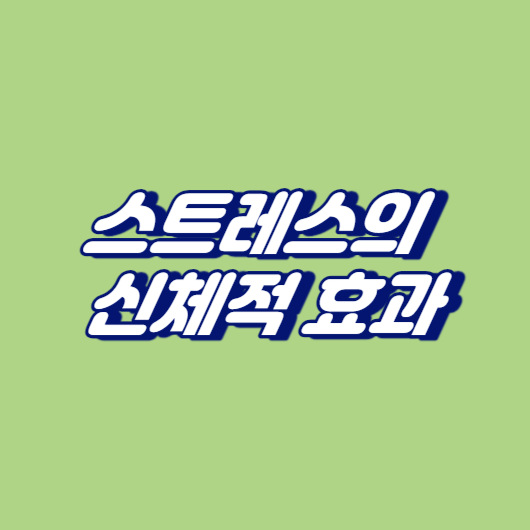 스트레스의 신체적 효과