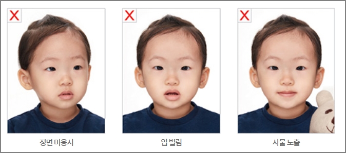 여권사진 규정 예시