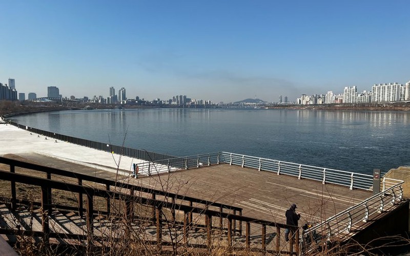 2026 서울억새축제 하늘공원 가는 길 총정리: 일정·맹꽁이 전기차 요금