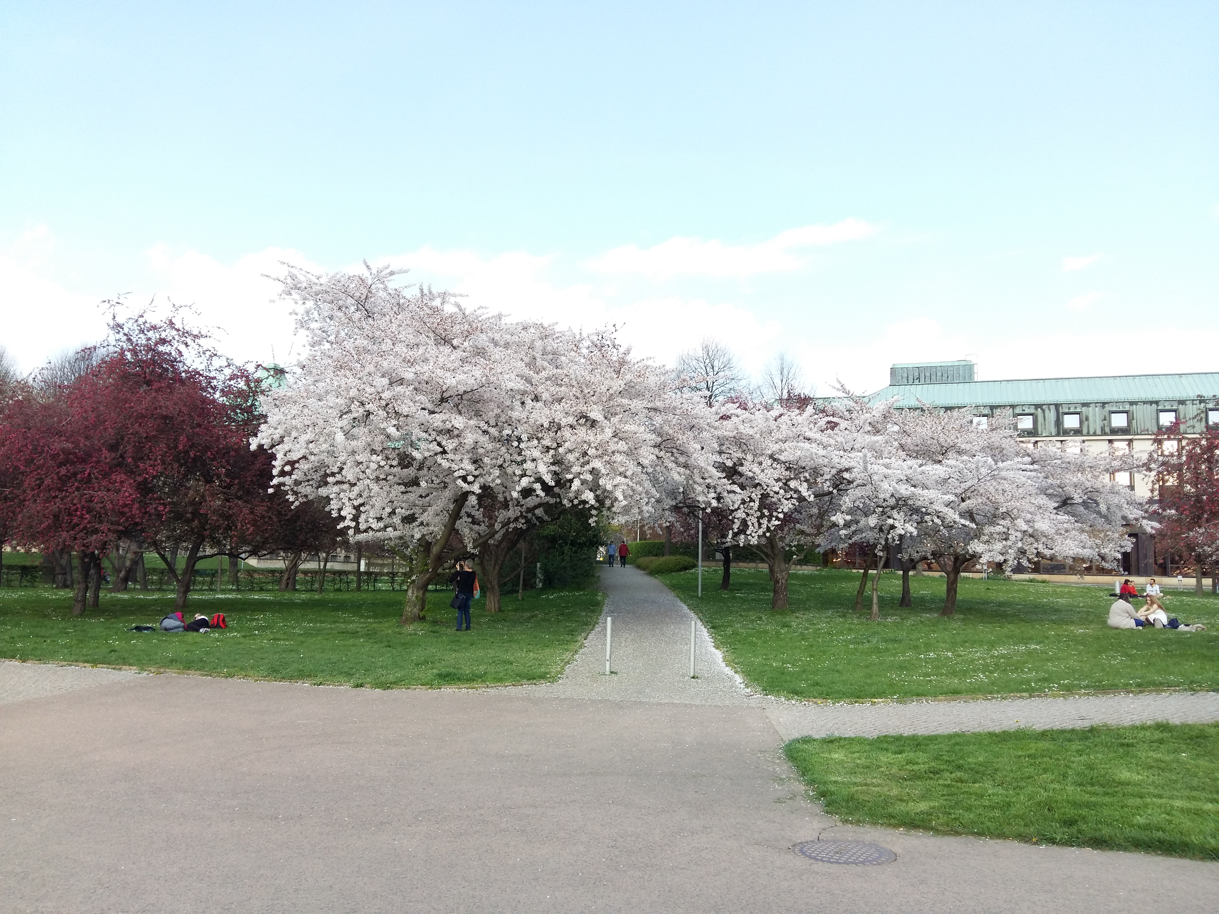 독일 드레스덴의 봄