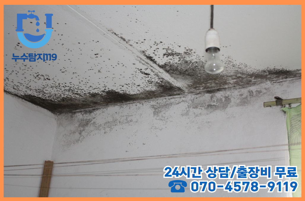 학하동 누수 긴급 상황2